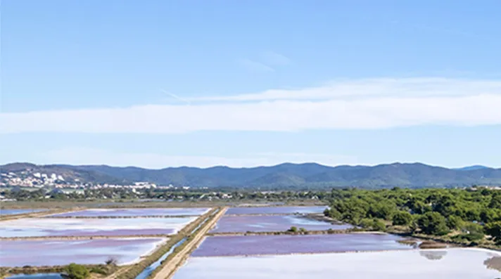Hyères - Les Salins des Pesquiers