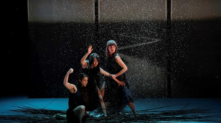 Jeune public - Danse-conte "Ronces"_Le Revest-les-Eaux