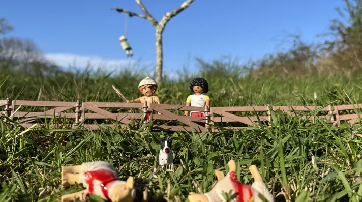 Théâtre - Pierre Guillois "Foutue Bergerie"_Ollioules