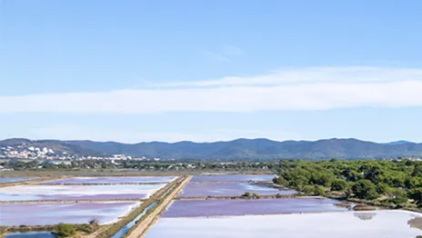 Hyères - Les Salins des Pesquiers