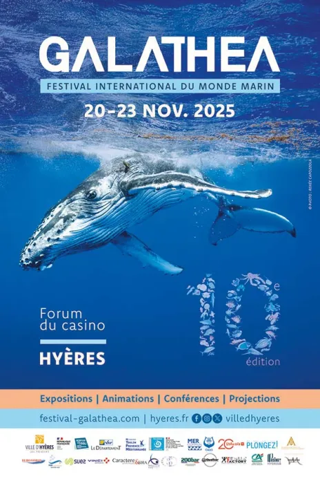 Affiche festival international du monde marin