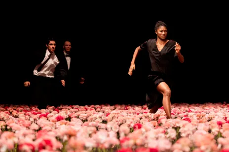 Danse - Pina Bausch "Nelken" - Festival d'été de Chateauvallon 2026_Ollioules