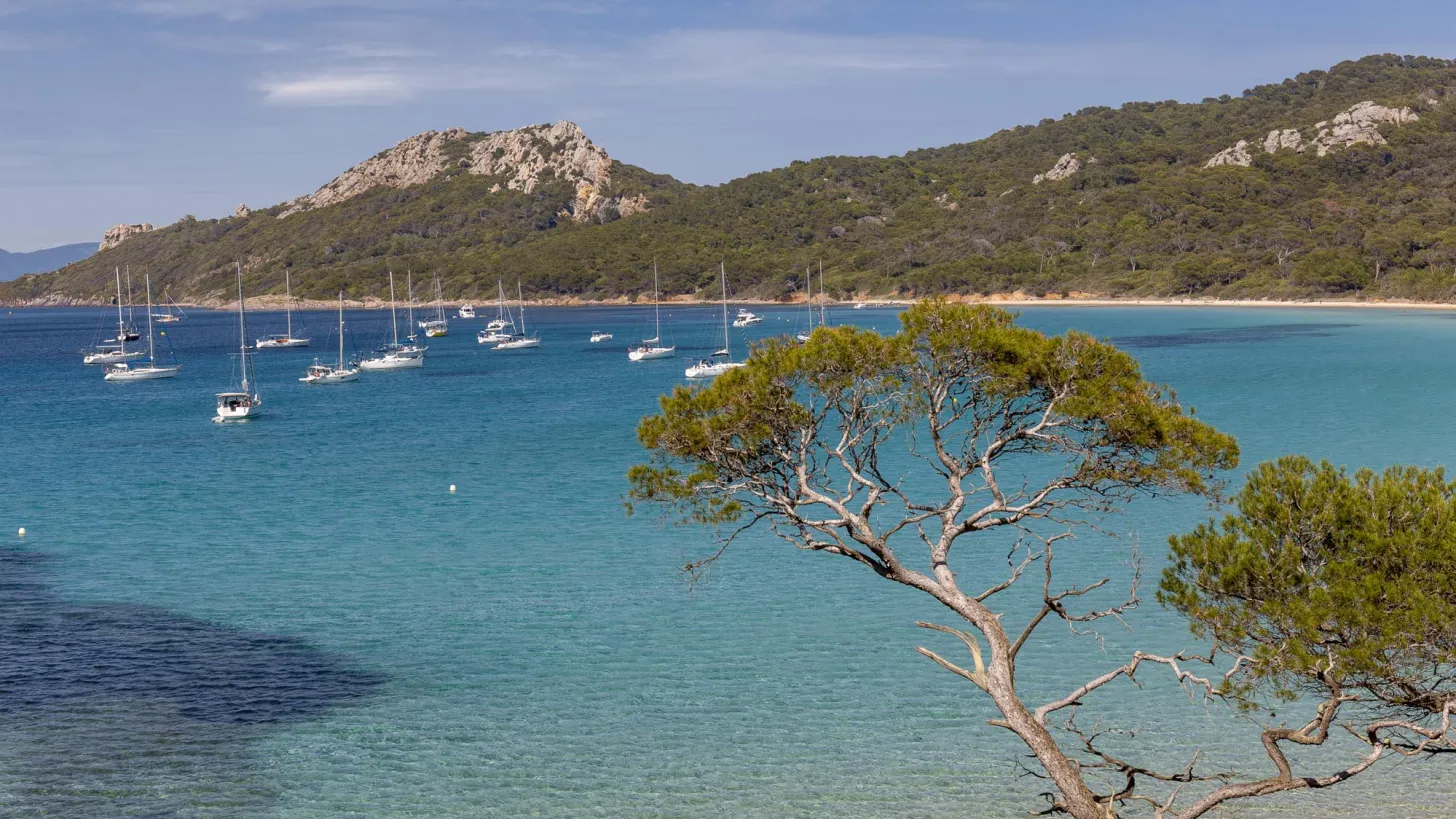 Plages Notre-Dame à Porquerolles