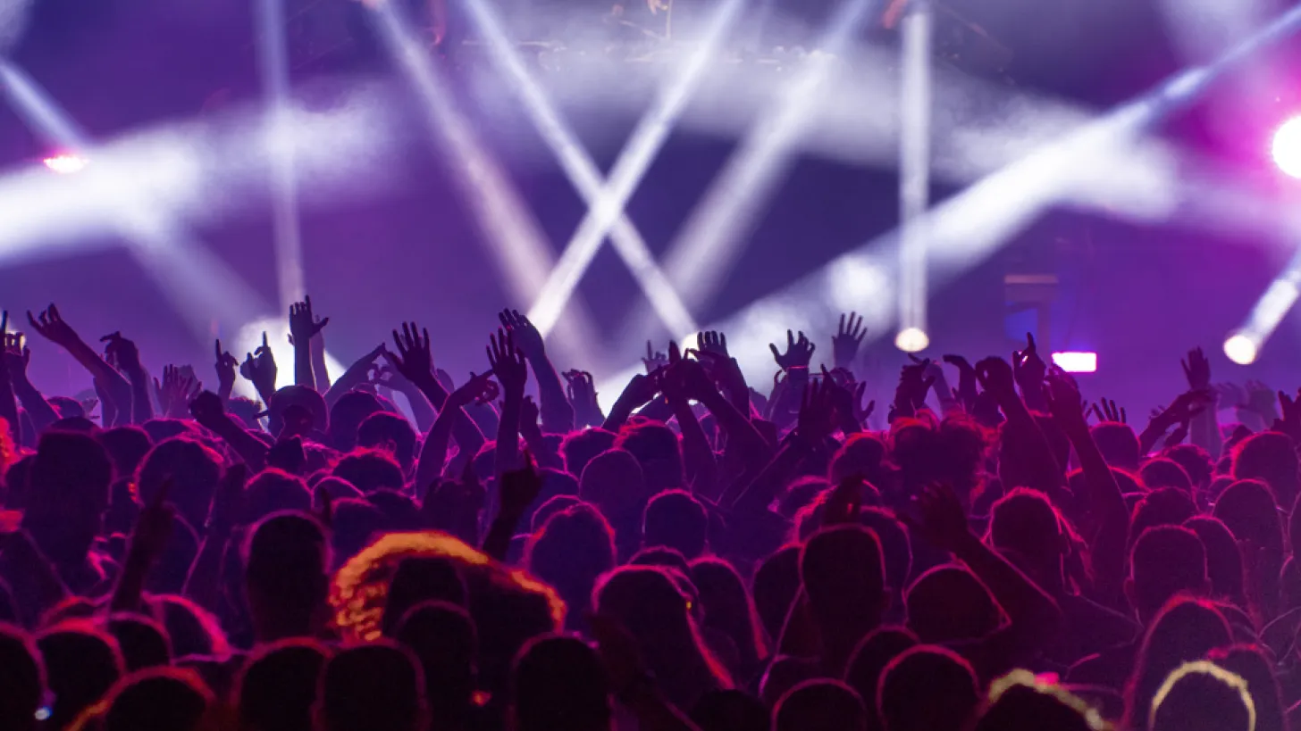 Public lors d'un concert sur les plages du Mourillon. Les couleurs sont violettes, avec des rayon blanc d'éclairage. Le public a les mains levés.