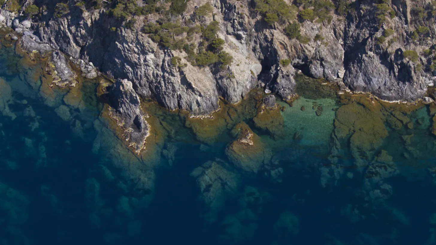 Falaises de Porquerolles : La côte sauvage et rocheuse en bord de mer. Une mer claire aux nuances de bleu et turquoise.