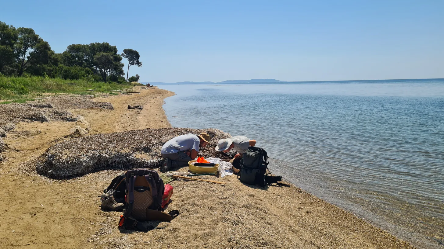 Etude sur les coléoptères - Atlas de la biodiversité TPM