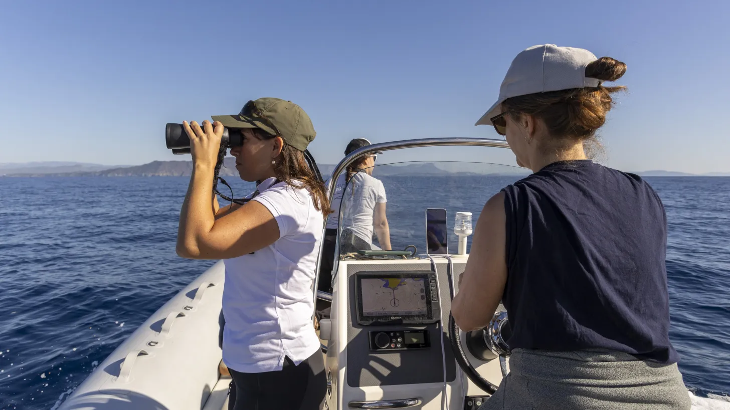 Suivis des cétacés - Natura 2000