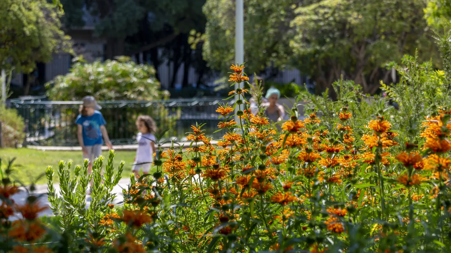 Quartier Chalucet – “quartier de la créativité et de la connaissance”