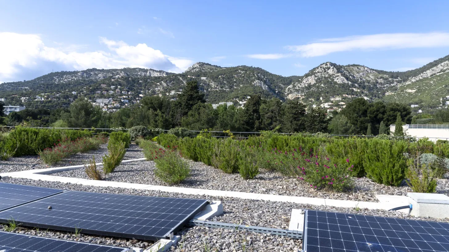 Toit végétalisé du parking Zénith Préfecture à Toulon, visite du 28 avril 2025