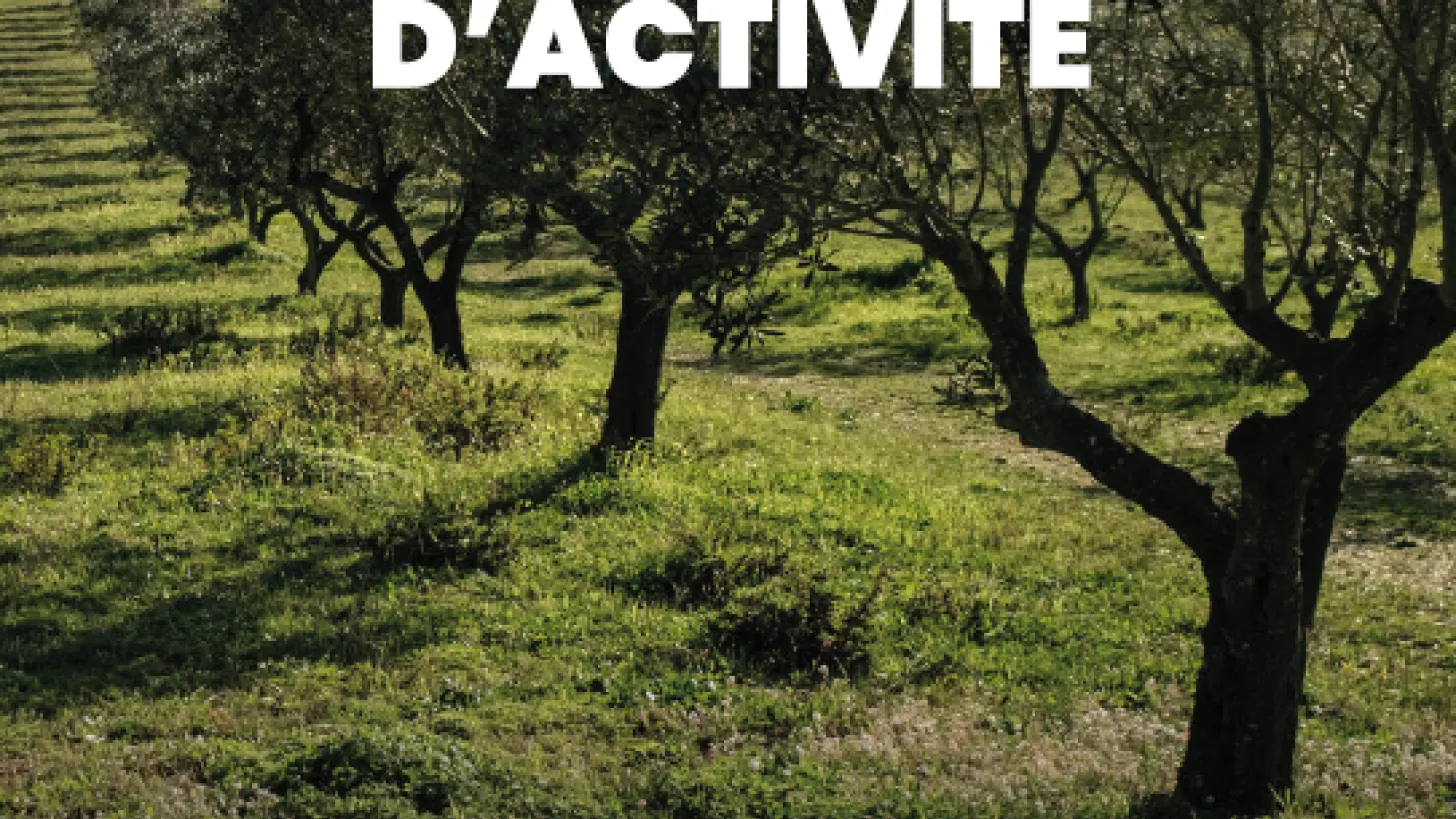 Rapport d'activité 2023 Office de tourisme métropolitain Provence Méditerranée