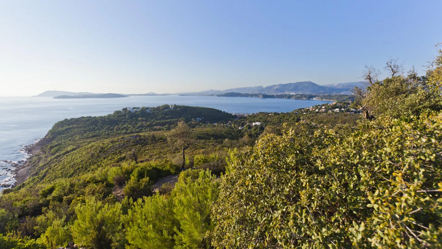 Sentier de découverte de la Colle Noire - Le Pradet