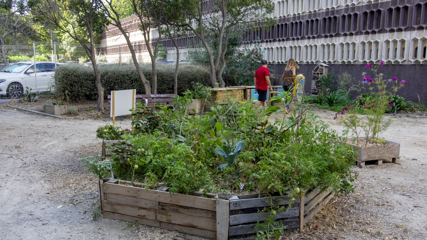 Compostage - jardin partagé