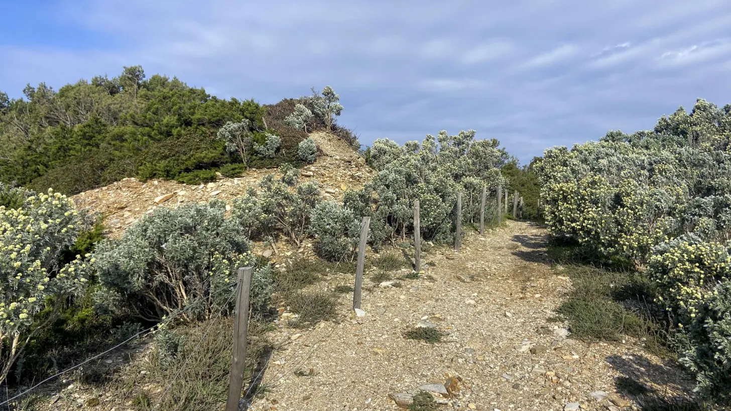 Visite Pointe de l'Esterel - Presqu'île de Giens à Hyères