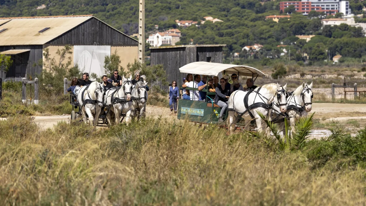 Fête des Salins d'Hyères
