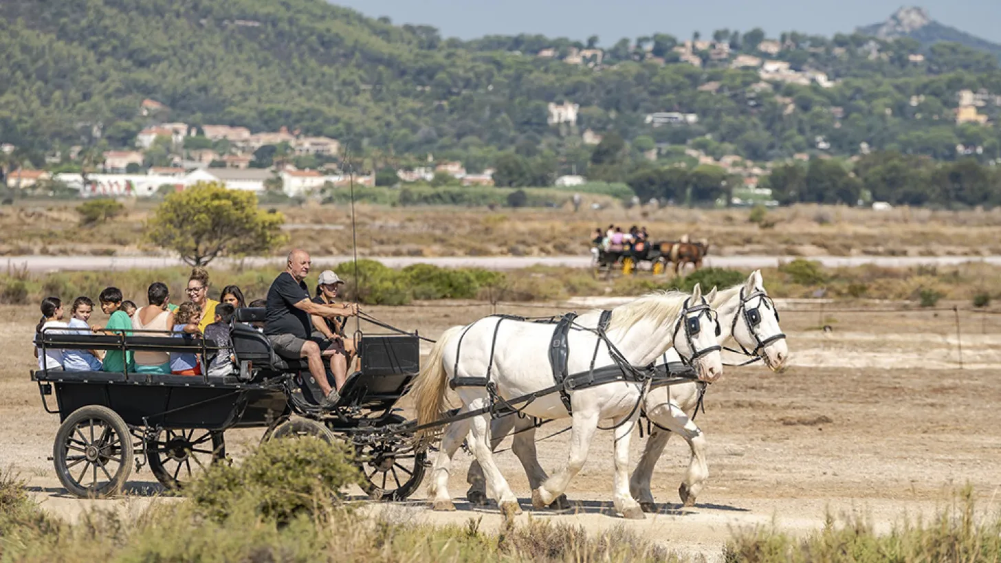 Fête des Salins d'Hyères 