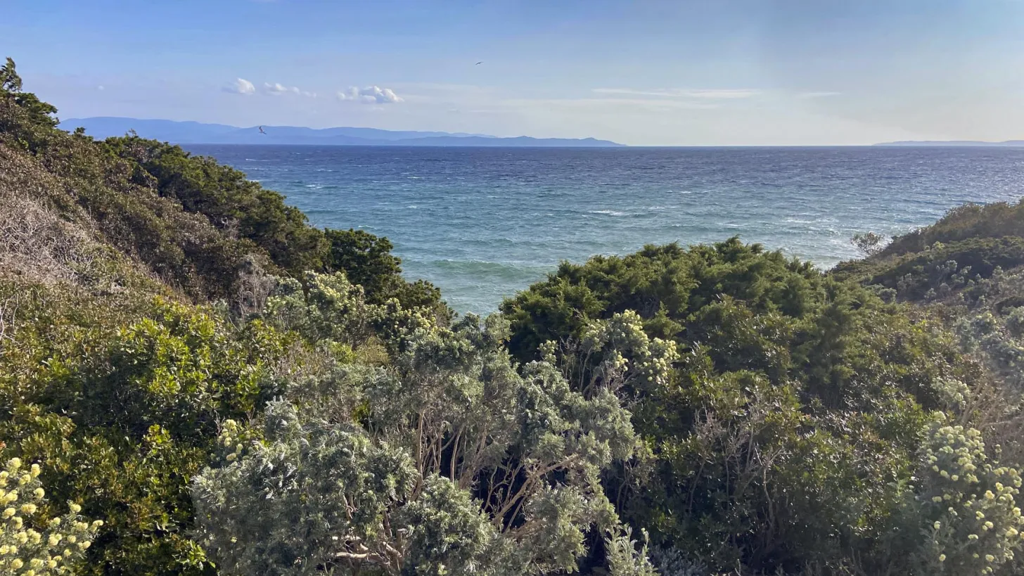 Visite Pointe de l'Esterel - Presqu'île de Giens à Hyères