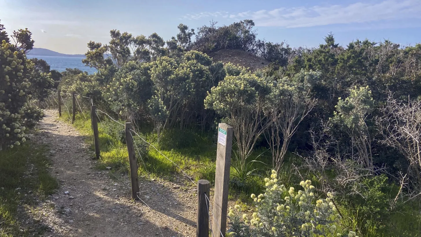 Visite Pointe de l'Esterel - Presqu'île de Giens à Hyères