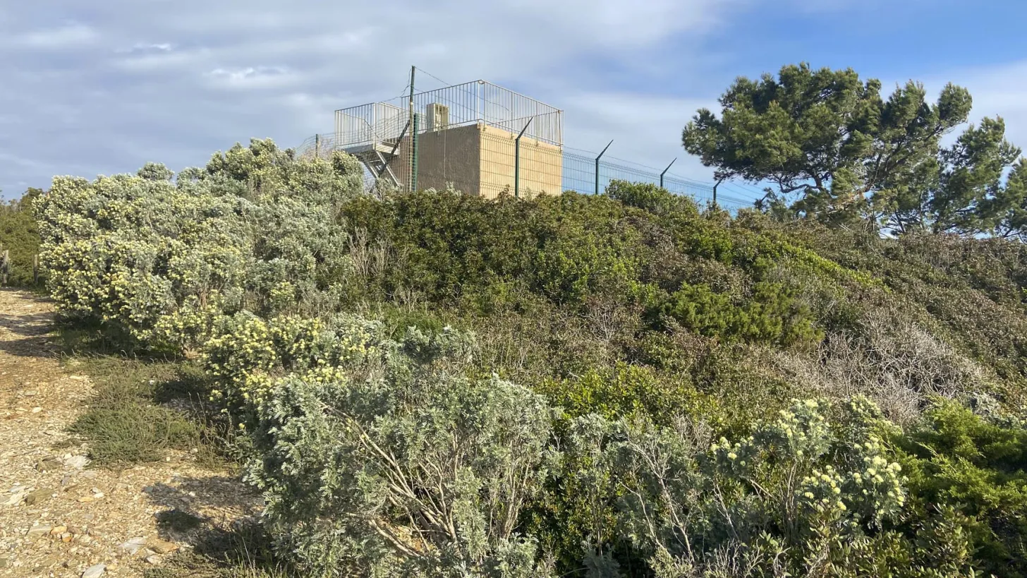 Visite Pointe de l'Esterel - Presqu'île de Giens à Hyères