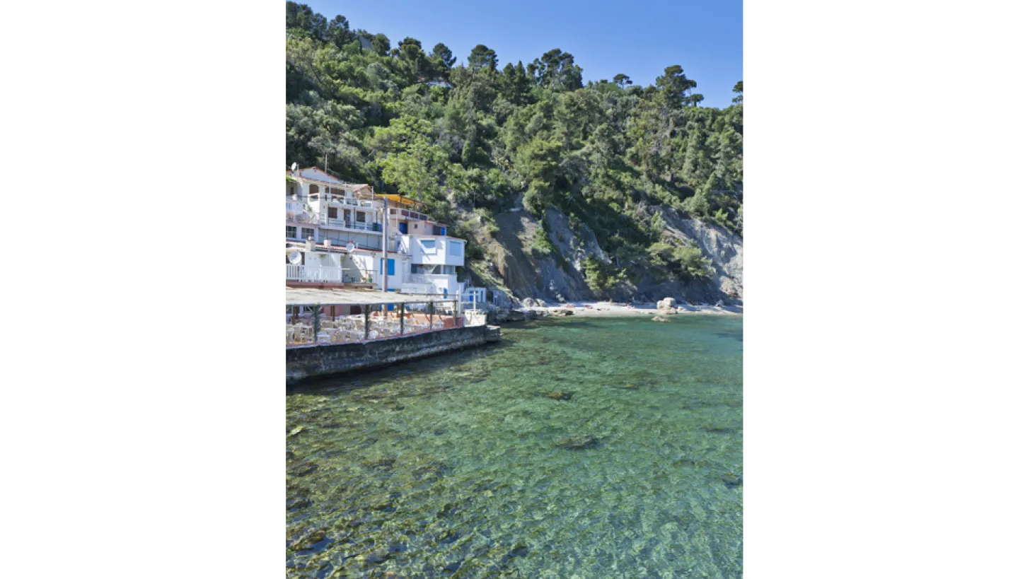 Anse Mejean / Toulon