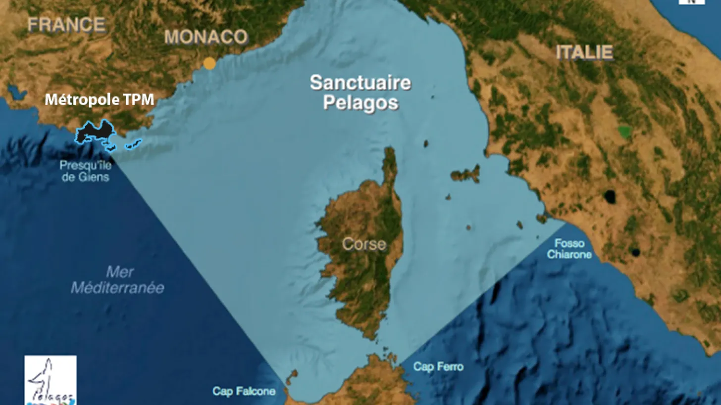 Carte du périmètre Pelagos