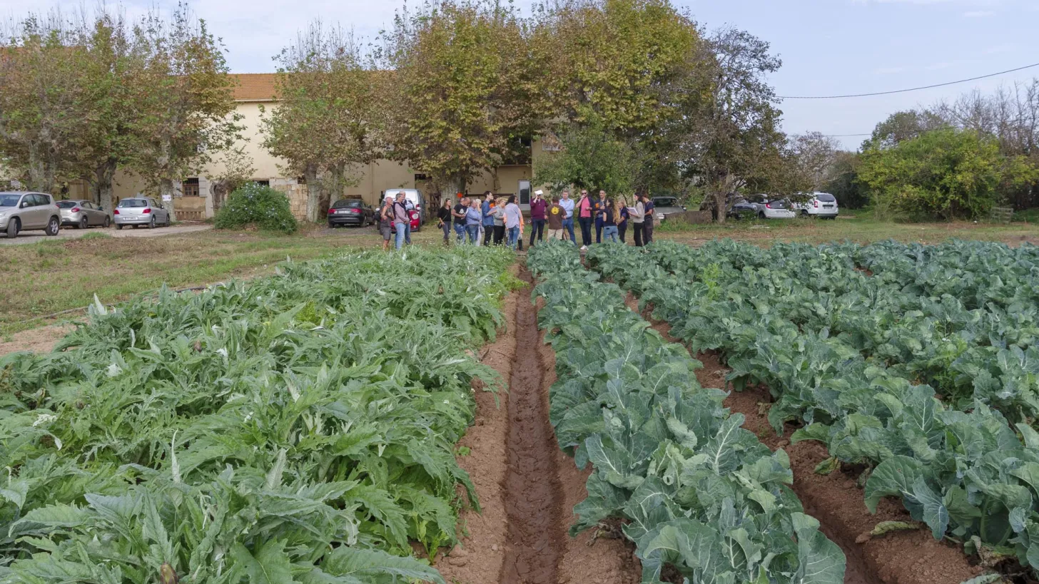 Rencontre Projet Alimentaire Territorial 