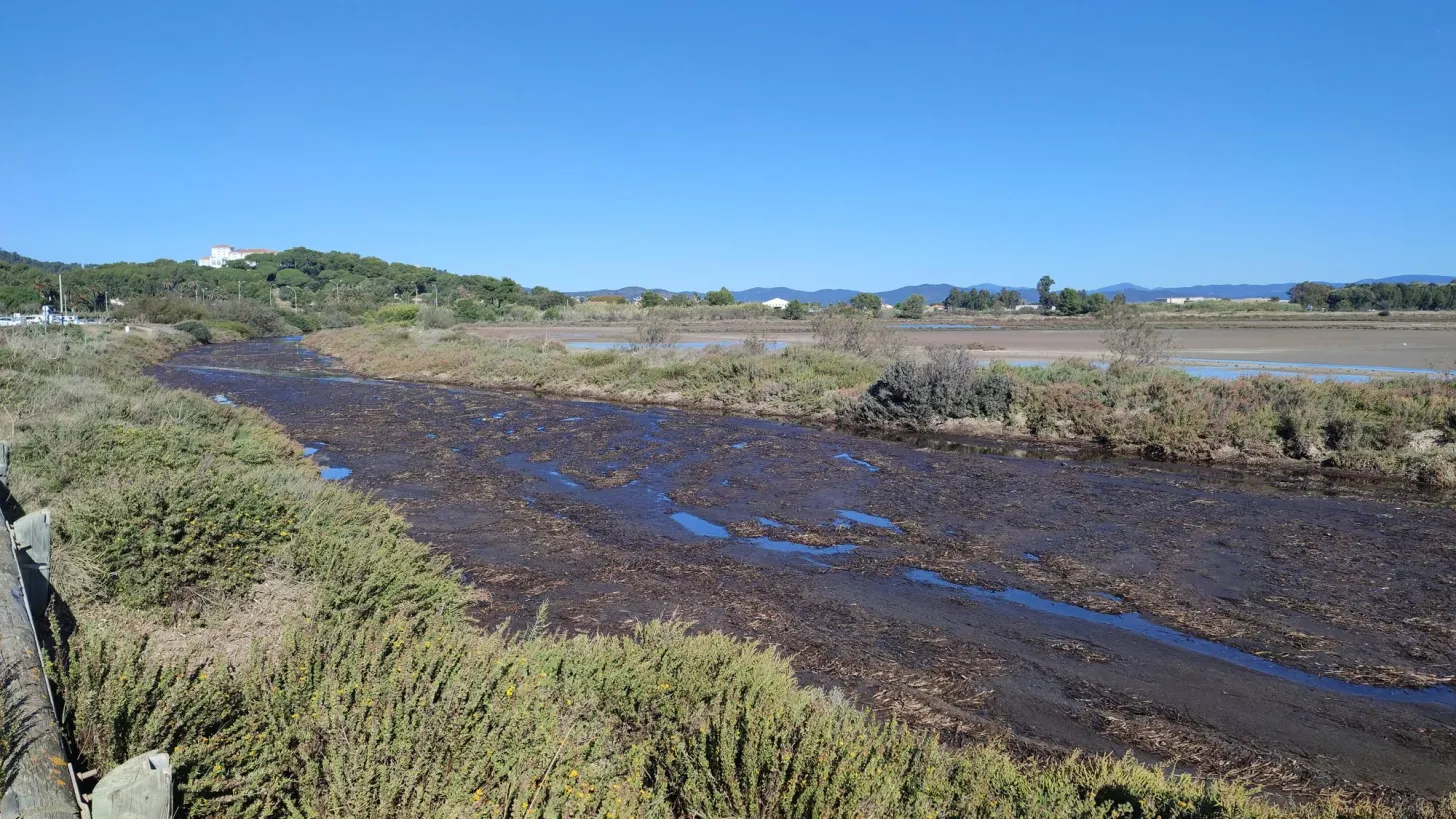 Le canal de réserve au nord du tombolo ouest en novembre 2023