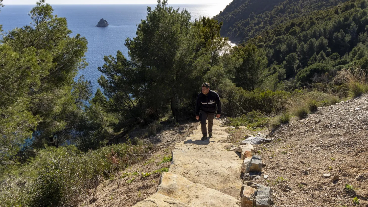 sentier du jonquet la seyne