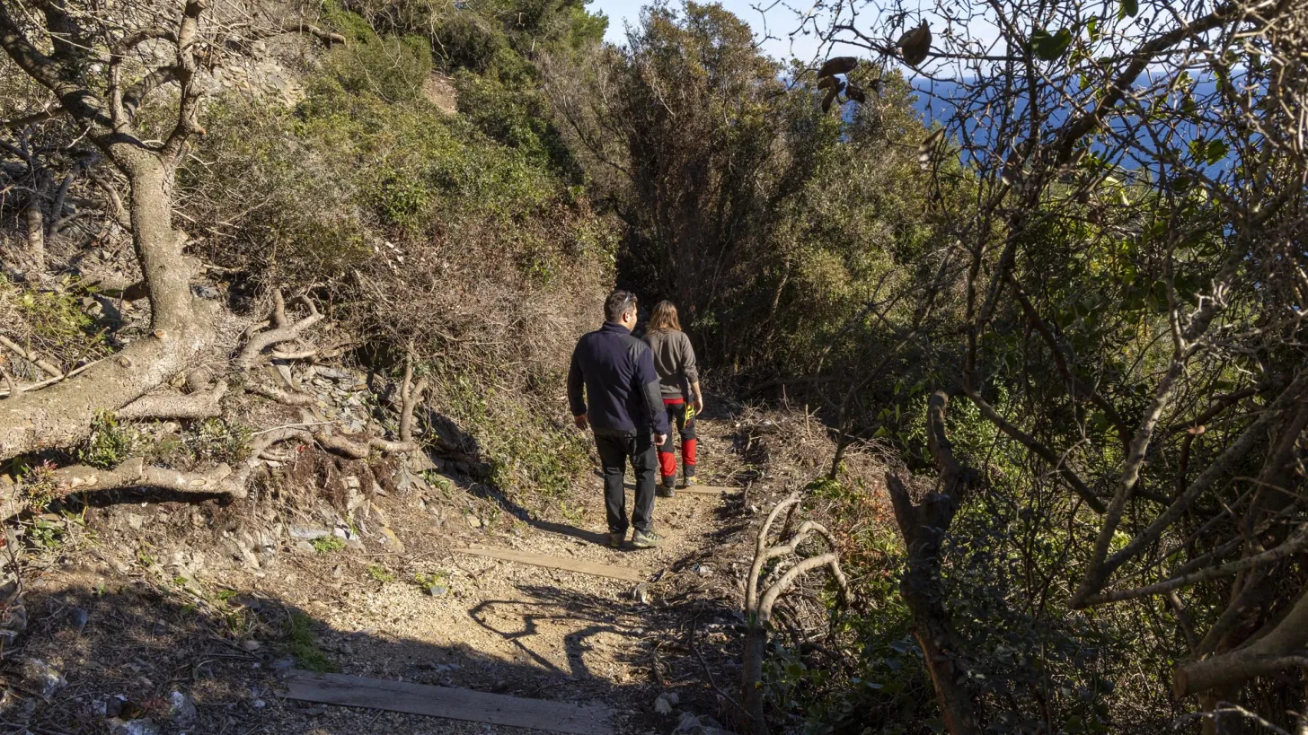 sentier du jonquet la seyne