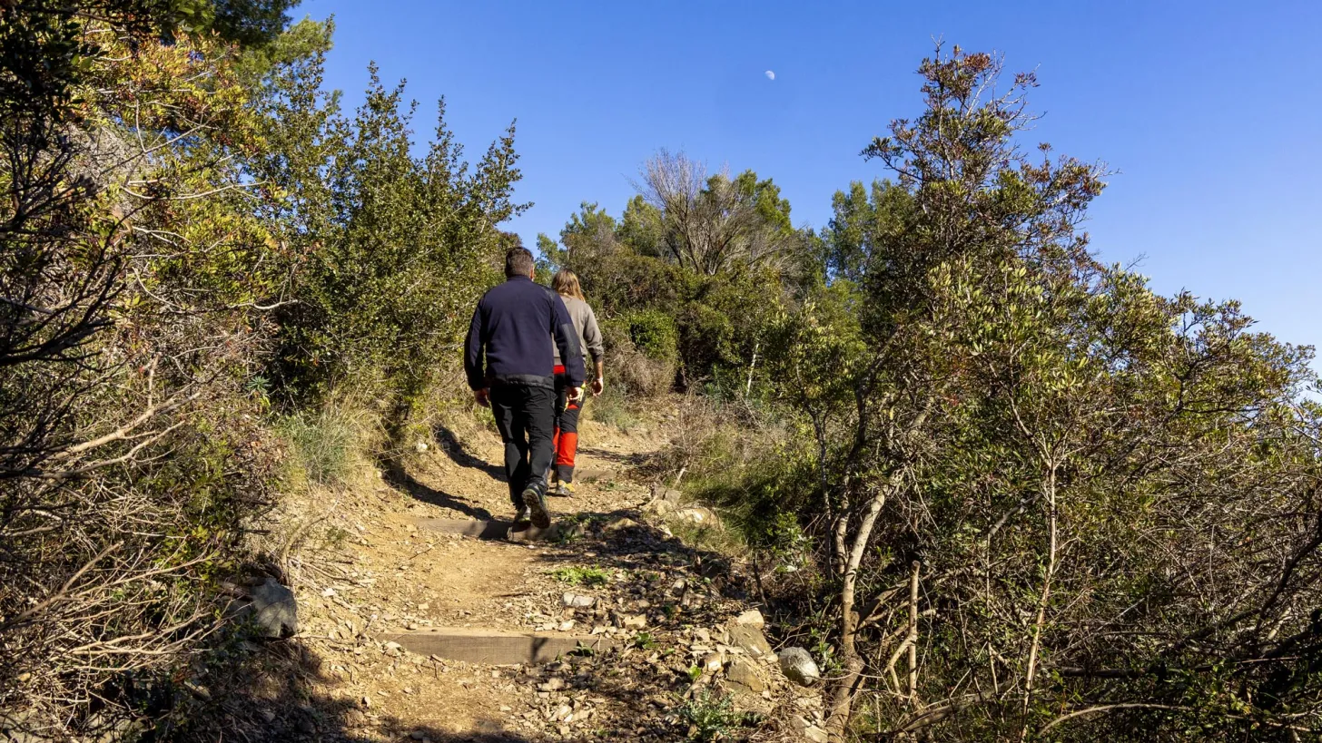 sentier du jonquet la seyne