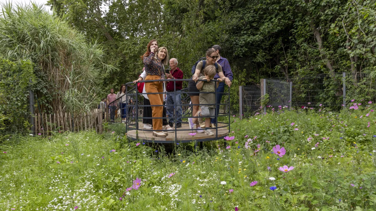 Oeuvre « Li Bello Vedere - Jardin Départemental du Las