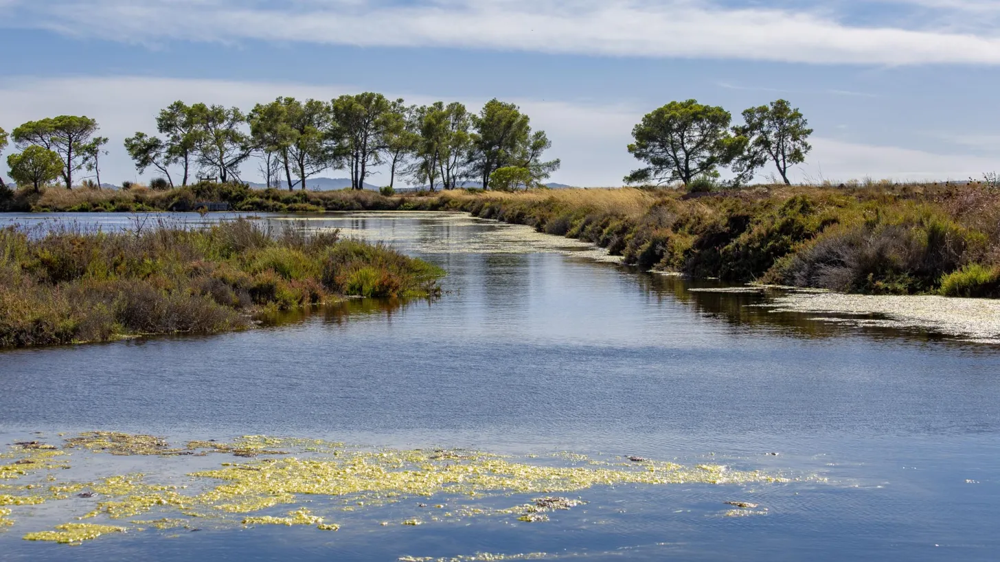 Vieux salins d'Hyères