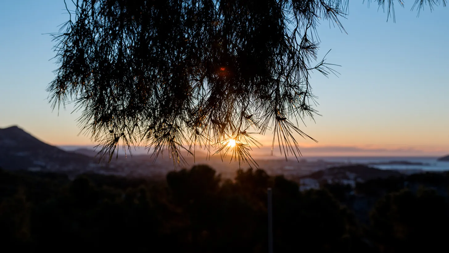 Les Dormeuses + A WEB, A LIMB, A WIRE - parcours et musique aux premières lueurs du jour