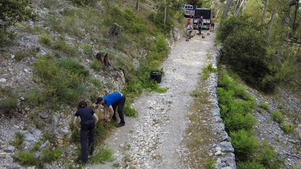 Chantier de débroussaillage en cours au mont Faron à Toulon
