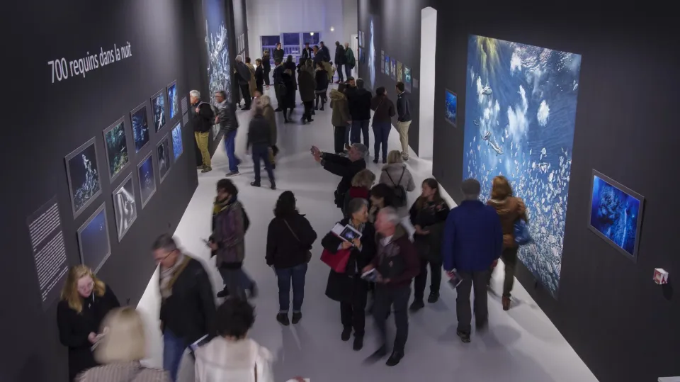 Villa Tamaris - Exposition Laurent Ballesta