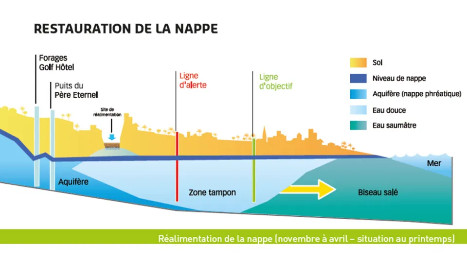 Coupes schématique mécanisme réalimentation restauration de la nappe hiver