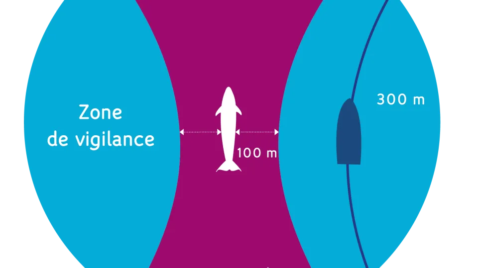 Schéma zone de vigilance