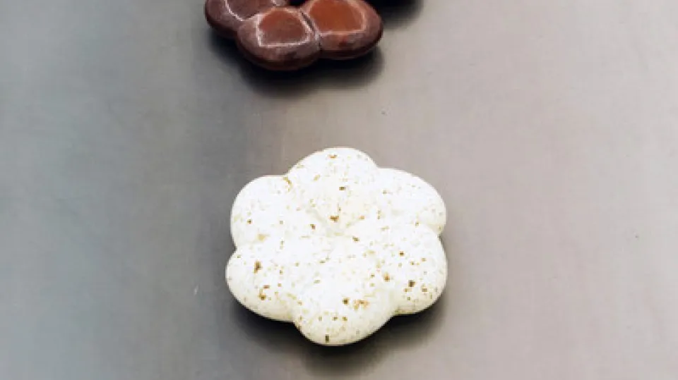 Kelly Eng et Marie Piplard - Prix du Public de la Ville de Hyères 