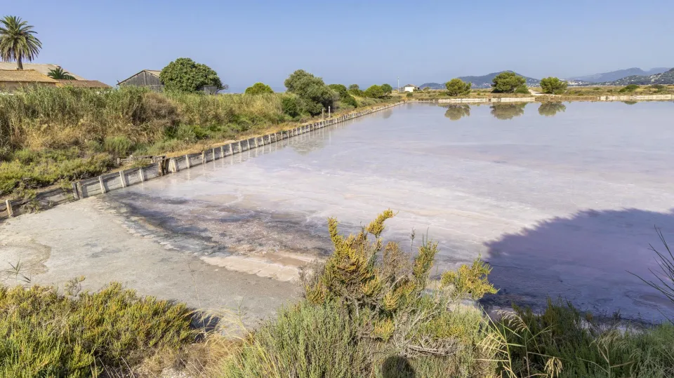 Les Salins d'Hyères - Récolte du sel