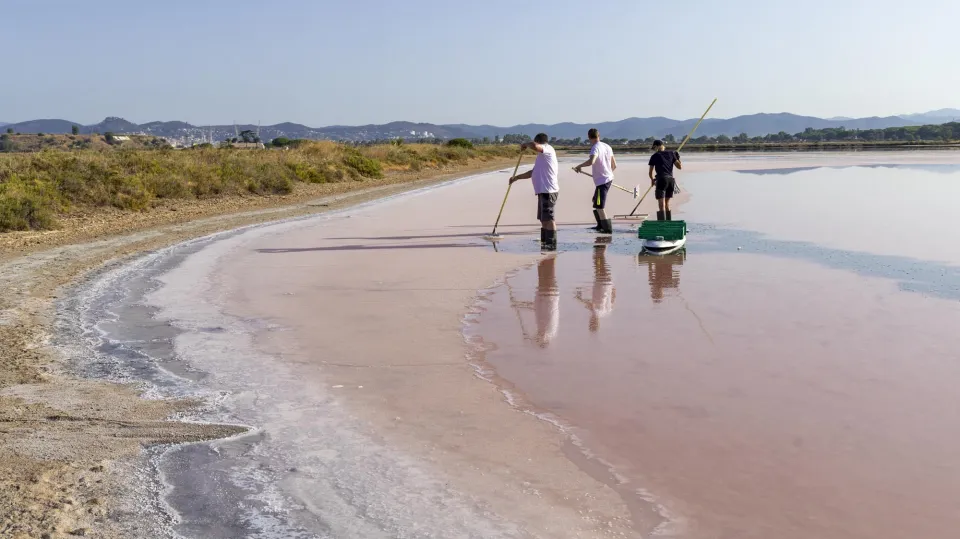 Les Salins d'Hyères - Récolte du sel