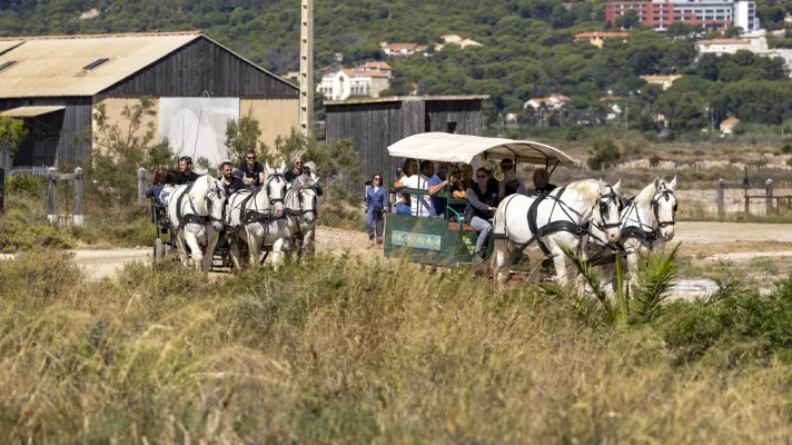 Fête des Salins d'Hyères