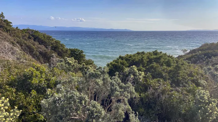 Visite Pointe de l'Esterel - Presqu'île de Giens à Hyères