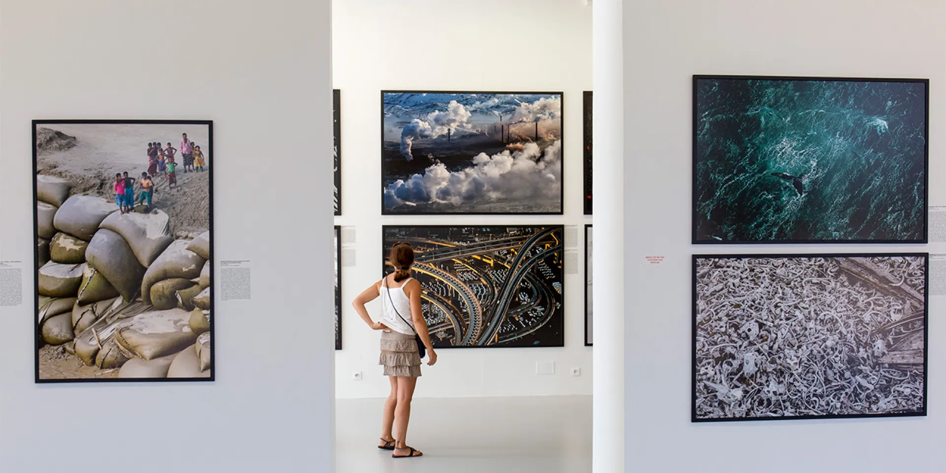 Exposition Yann Arthus Bertrand - Villa Tamaris