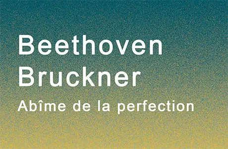 Concert symphonique - Abîme de la perfection - Opéra Hors les murs_Toulon