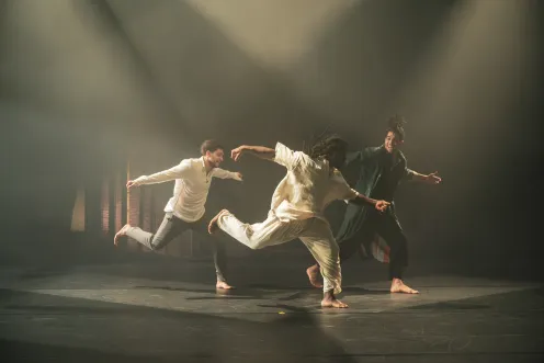 Danse - Raphaëlle Boitel et le Groupe acrobatique de Tanger "Ka-In"_Toulon