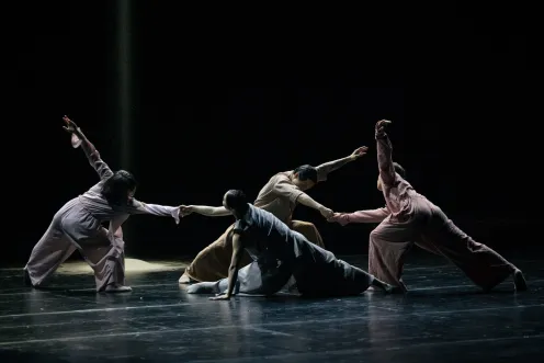 Danse - Xiexin Dance Theatre "In Satie & The Rite of Spring"_Toulon