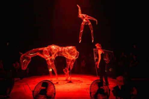 Théâtre-Marionnettes - Nocturne (Parade)_Toulon