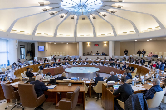 Conseil métropolitain du 27 mars 2025