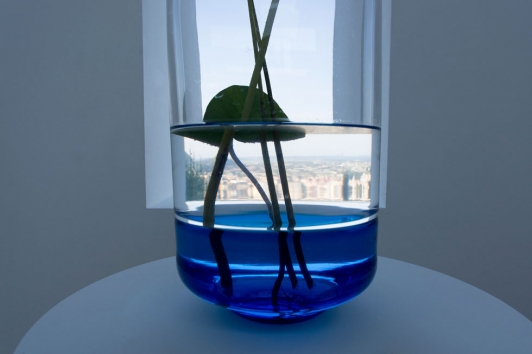 Exposition "La beauté des plantes aquatiques" de Carolien Niebling