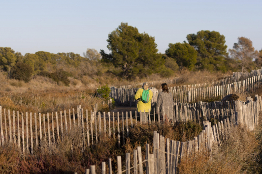 Sentier - Vieux Salins d'Hyères