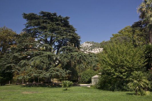 Jardin du Las - Toulon 